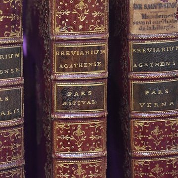 Musée agathois Jules-Baudou dAgde