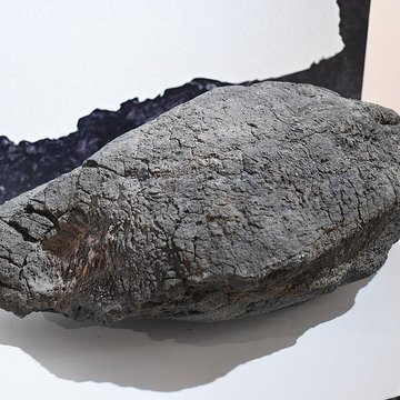 Musée agathois Jules-Baudou dAgde