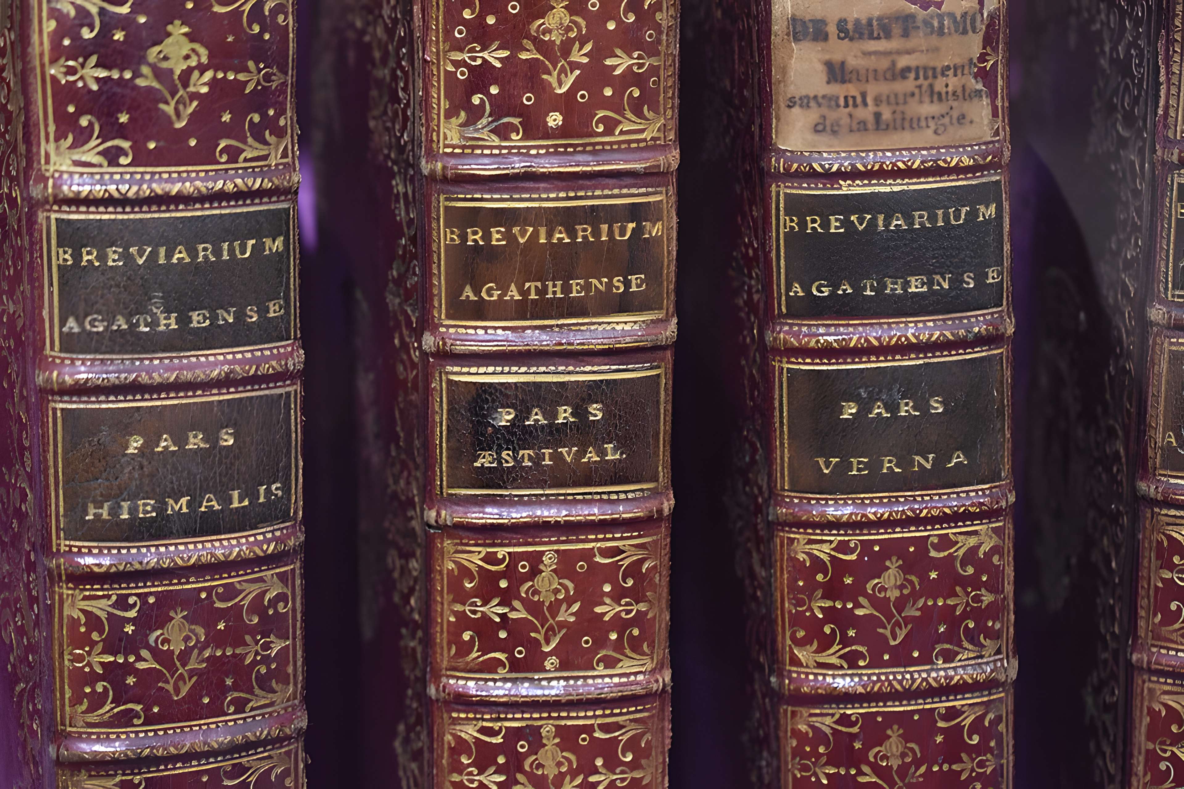 Musée agathois Jules-Baudou d'Agde