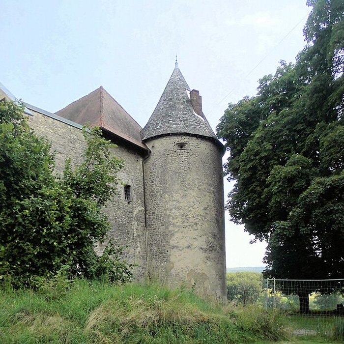 Photo de Château de Saint-Baslemont