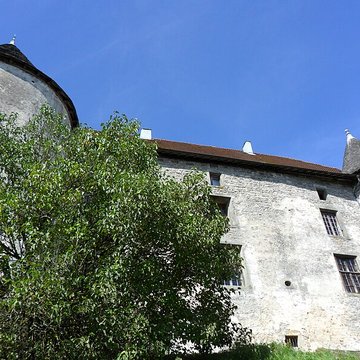 Château de Saint-Baslemont