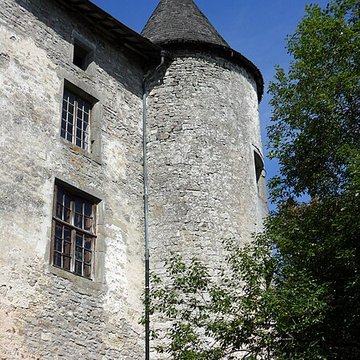Château de Saint-Baslemont