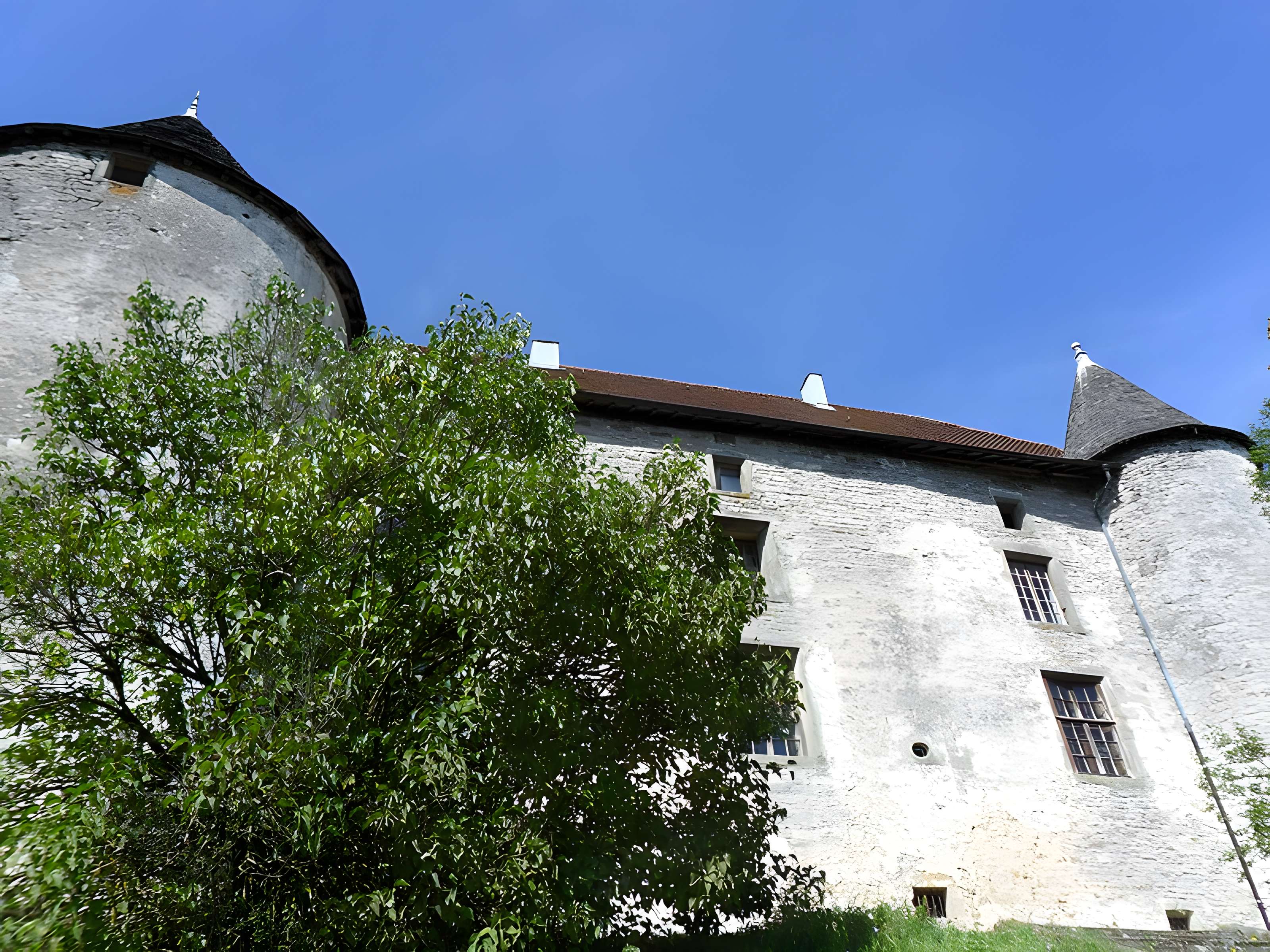 Château de Saint-Baslemont