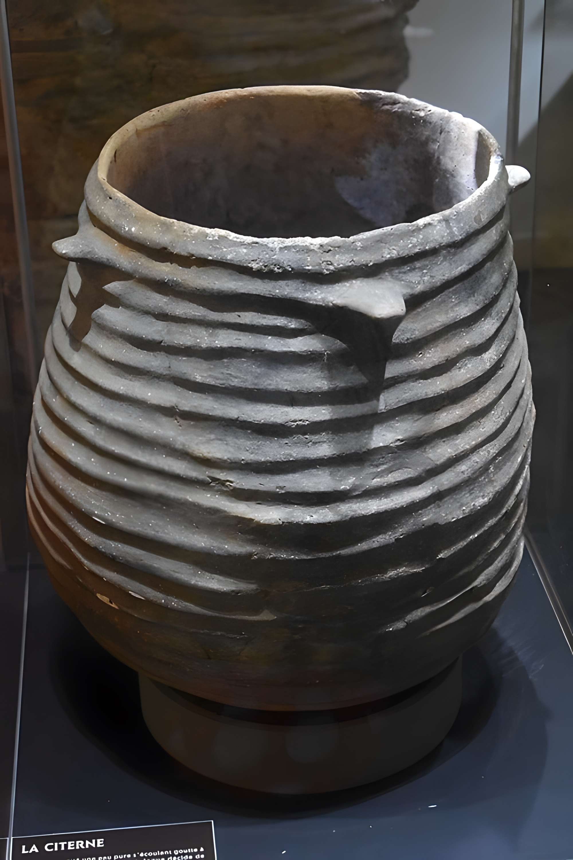 Musée de Préhistoire régionale de Saint-Pons-de-Thomières