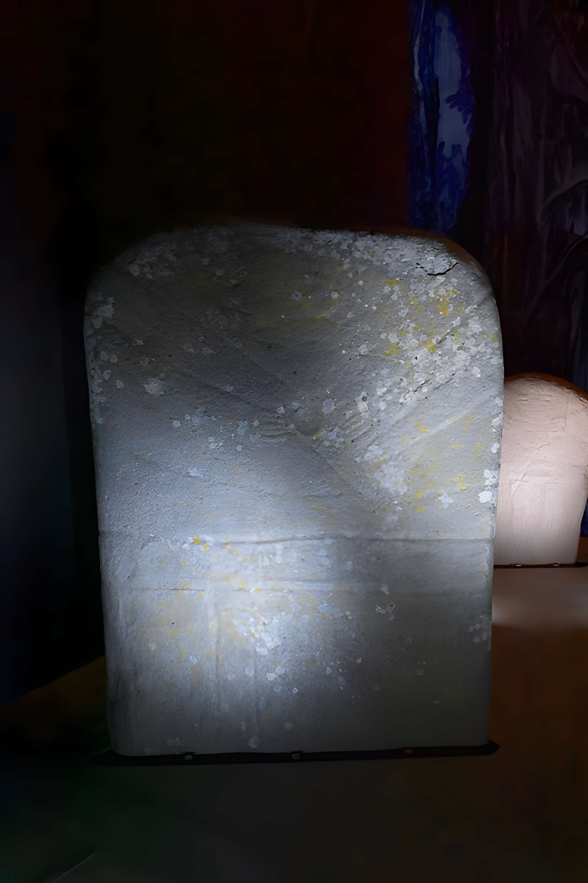 Musée de Préhistoire régionale de Saint-Pons-de-Thomières