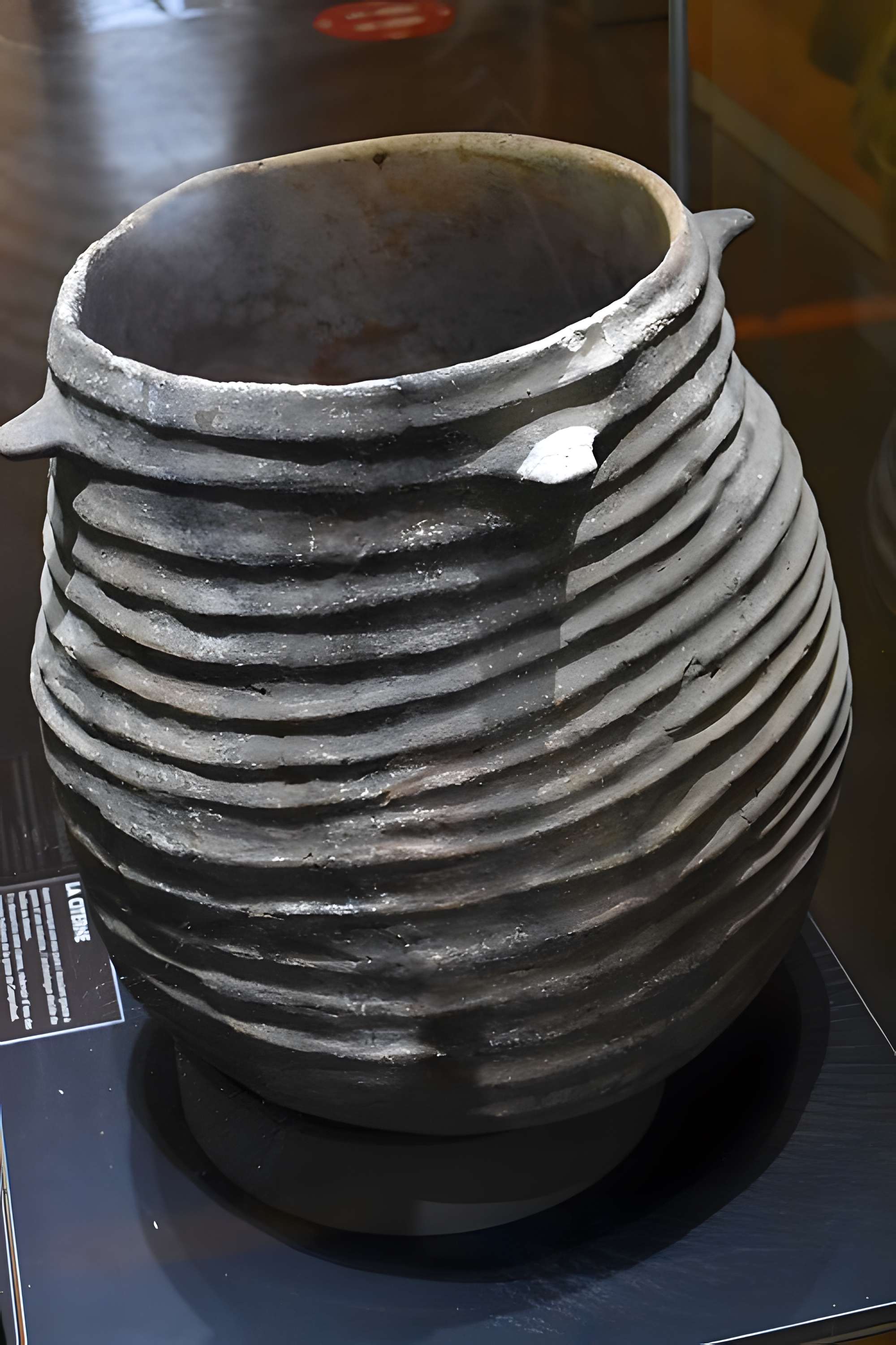 Musée de Préhistoire régionale de Saint-Pons-de-Thomières