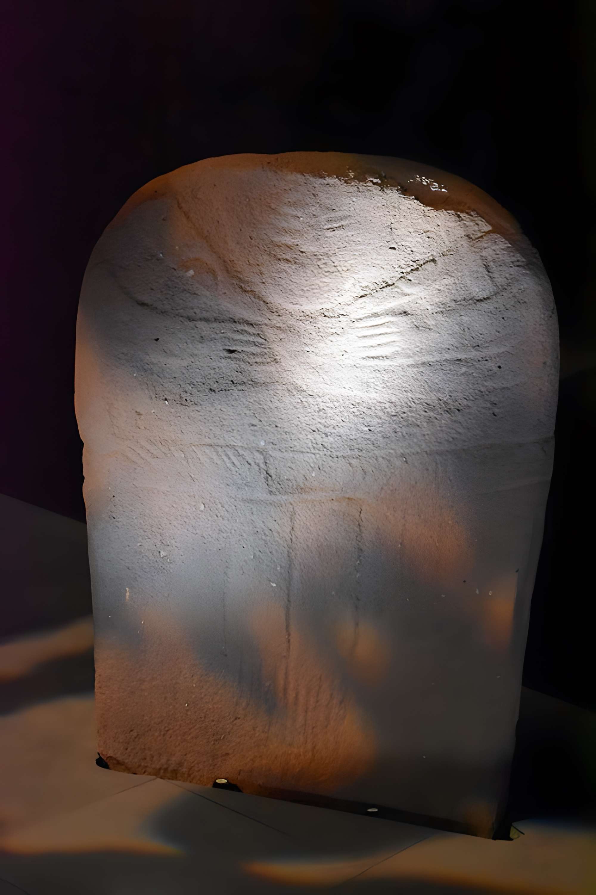 Musée de Préhistoire régionale de Saint-Pons-de-Thomières