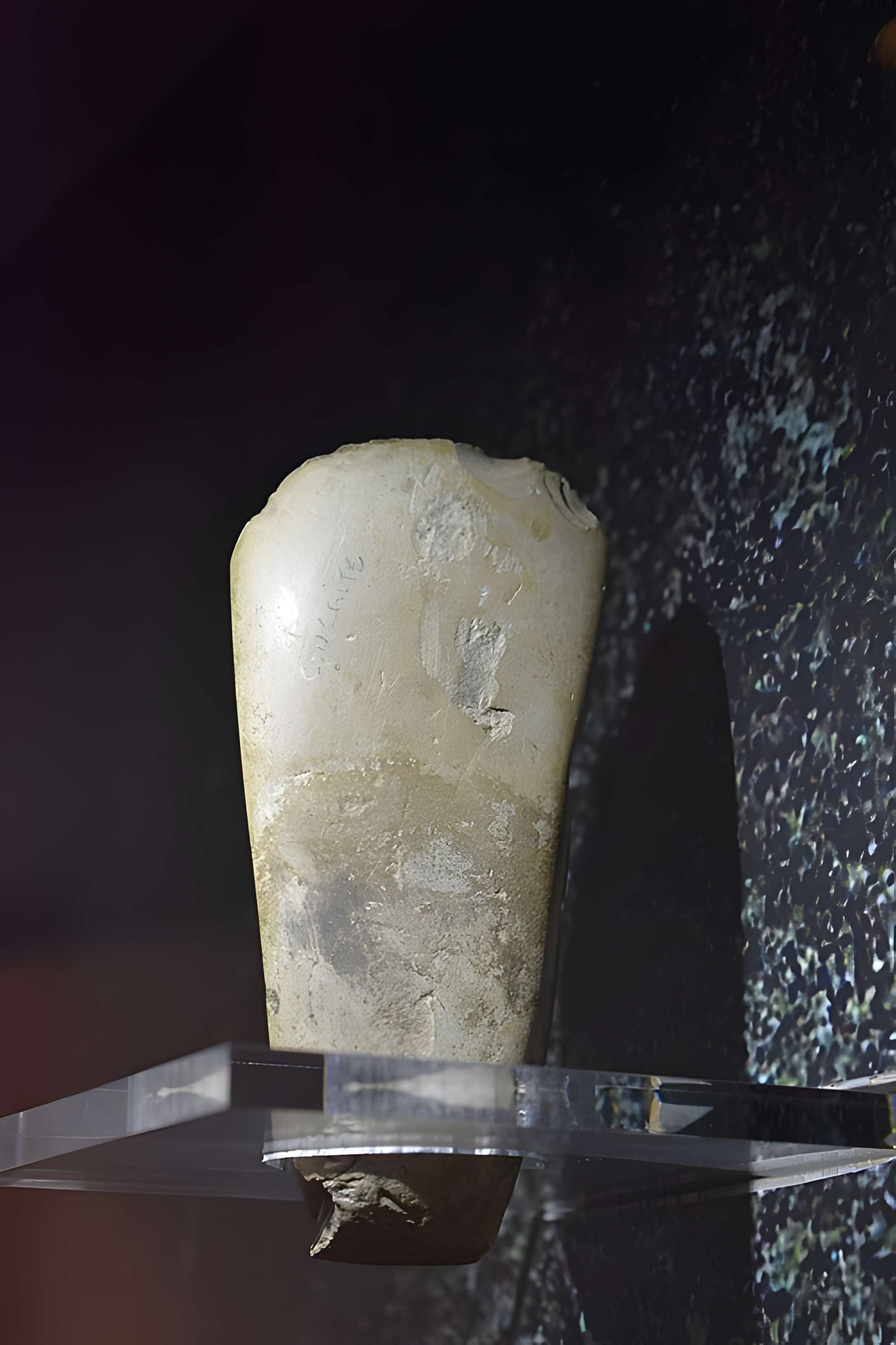 Musée de Préhistoire régionale de Saint-Pons-de-Thomières