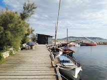 Photo de Musée de l'étang de Thau à Bouzigues