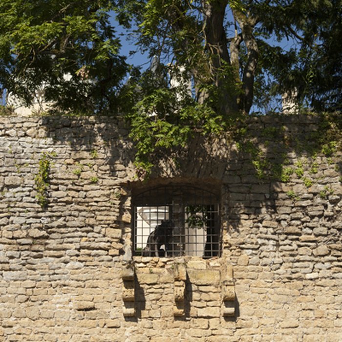 Photo de Château de Saint-Chartier