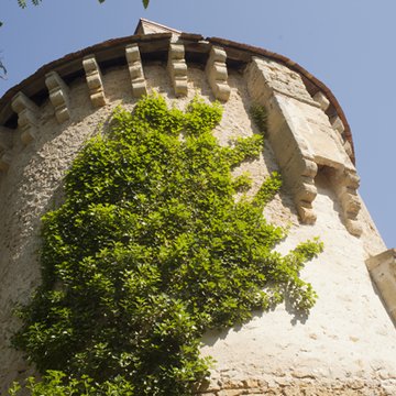 Château de Saint-Chartier