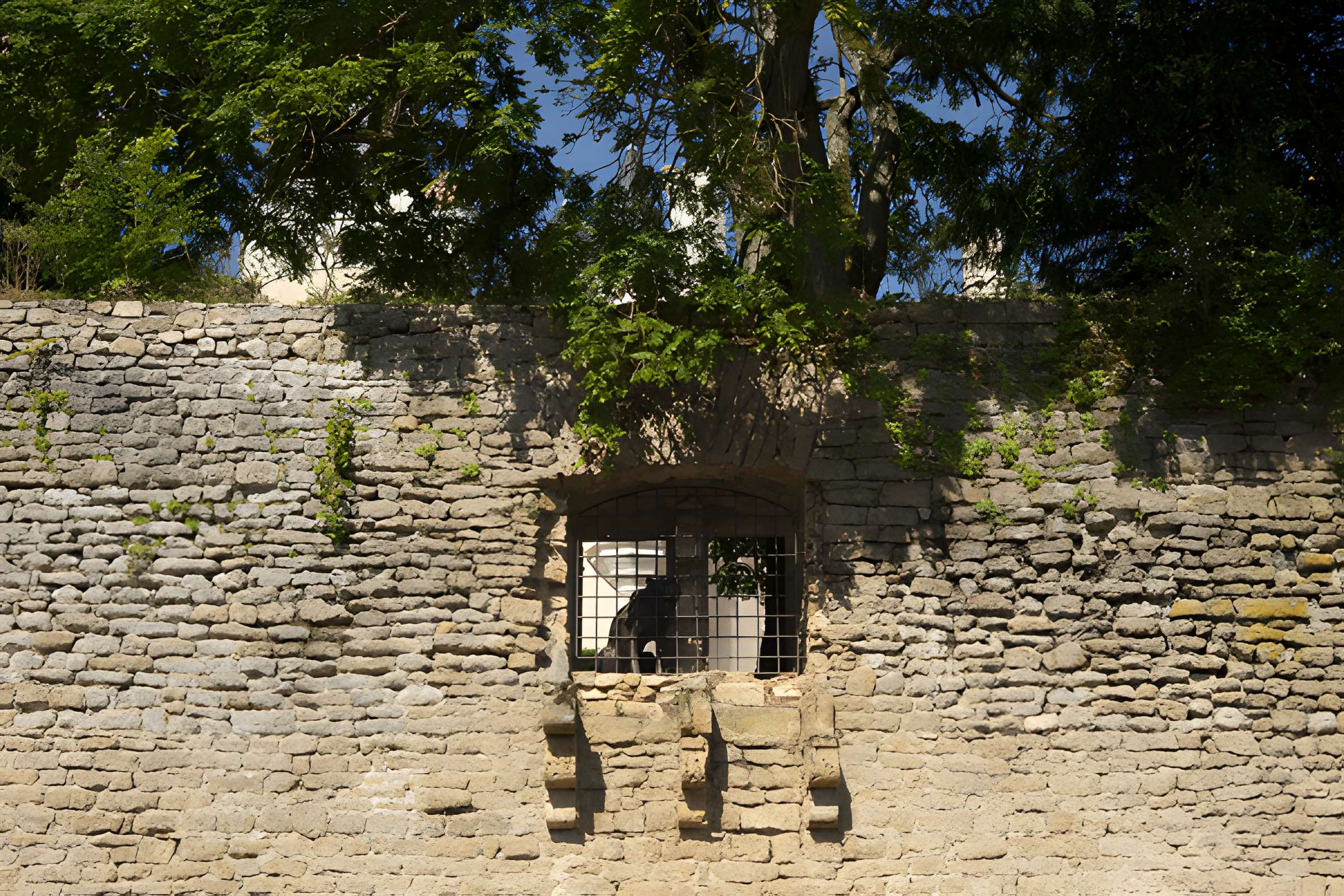 Château de Saint-Chartier