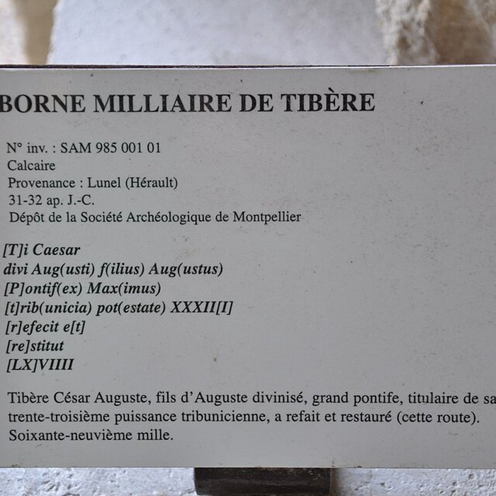 Photo de Musée Henri-Prades : Site archéologique Lattara