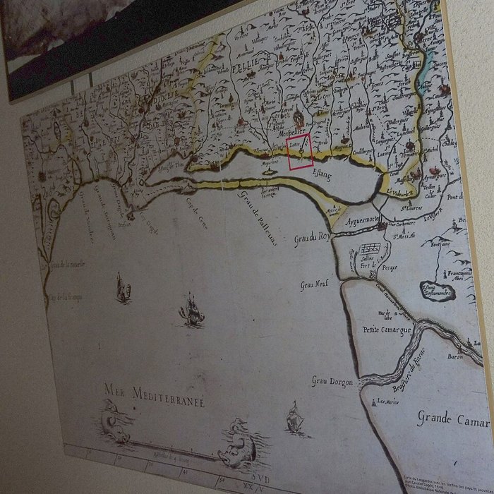 Photo de Musée Henri-Prades : Site archéologique Lattara