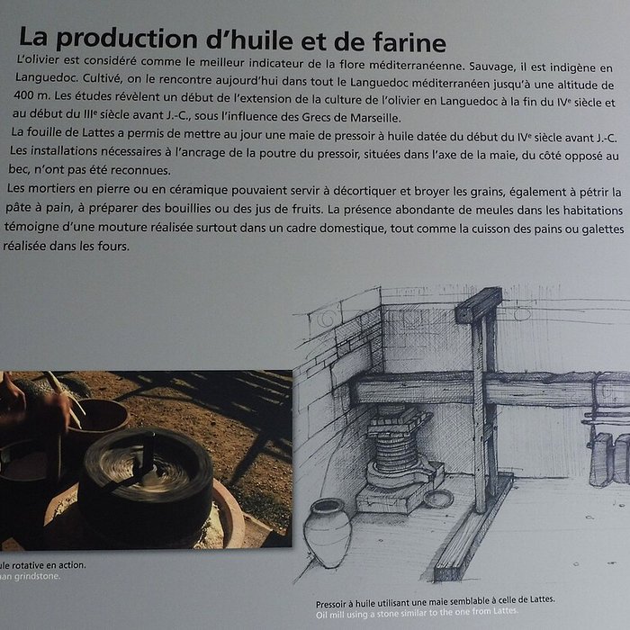 Photo de Musée Henri-Prades : Site archéologique Lattara