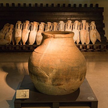 Musée Henri-Prades : Site archéologique Lattara