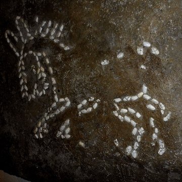 Musée Henri-Prades : Site archéologique Lattara