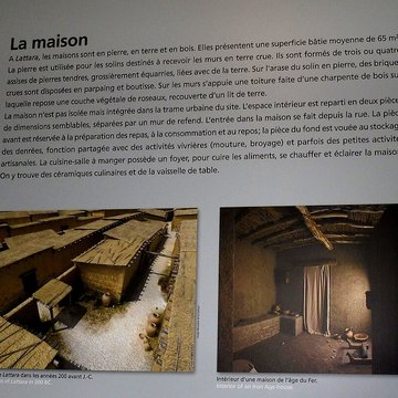 Musée Henri-Prades : Site archéologique Lattara