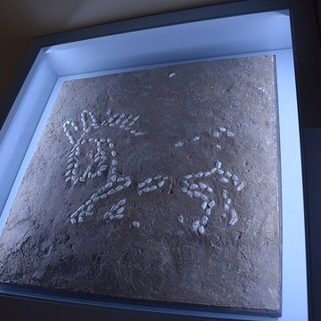 Musée Henri-Prades : Site archéologique Lattara