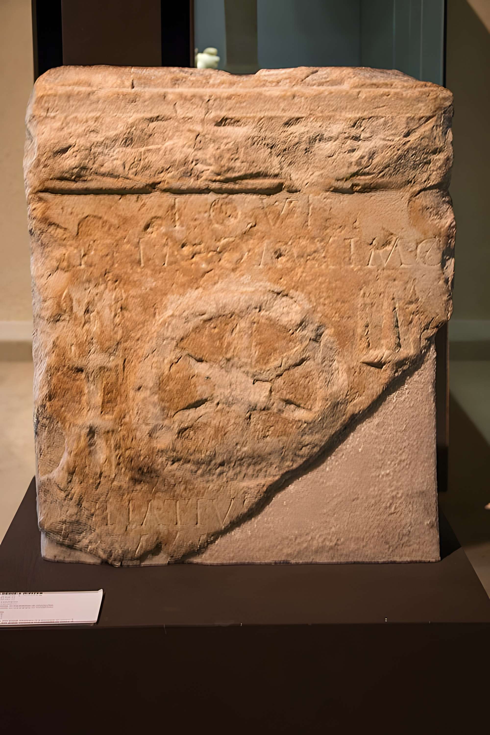 Musée Henri-Prades : Site archéologique Lattara