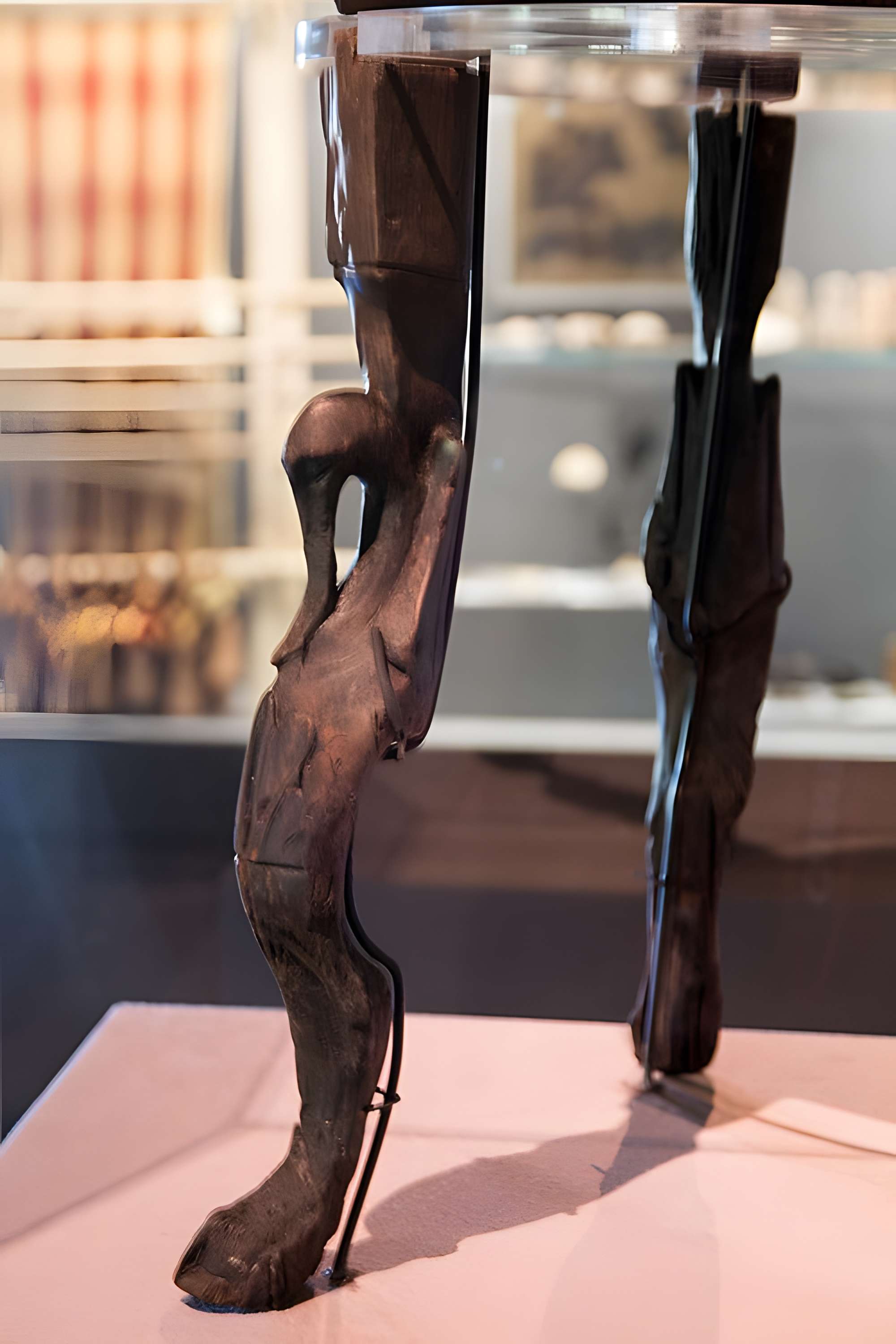 Musée Henri-Prades : Site archéologique Lattara