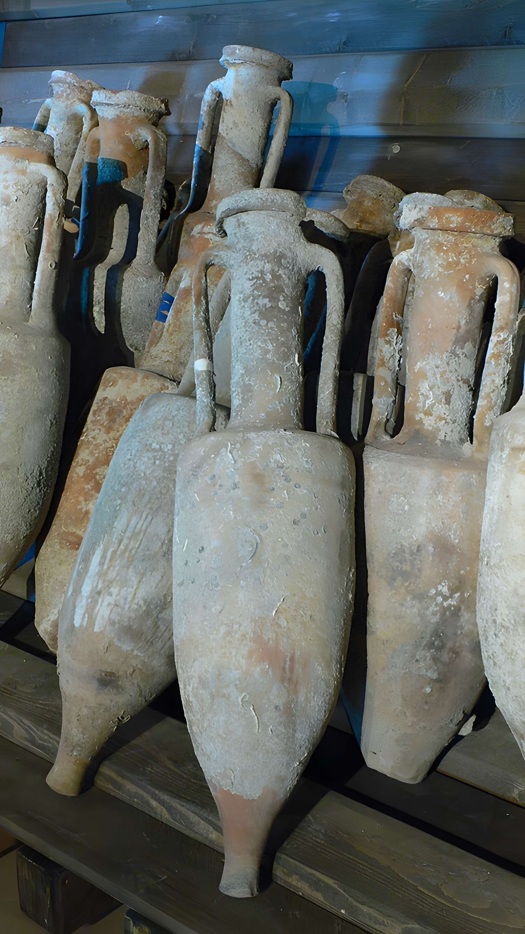 Musée Henri-Prades : Site archéologique Lattara