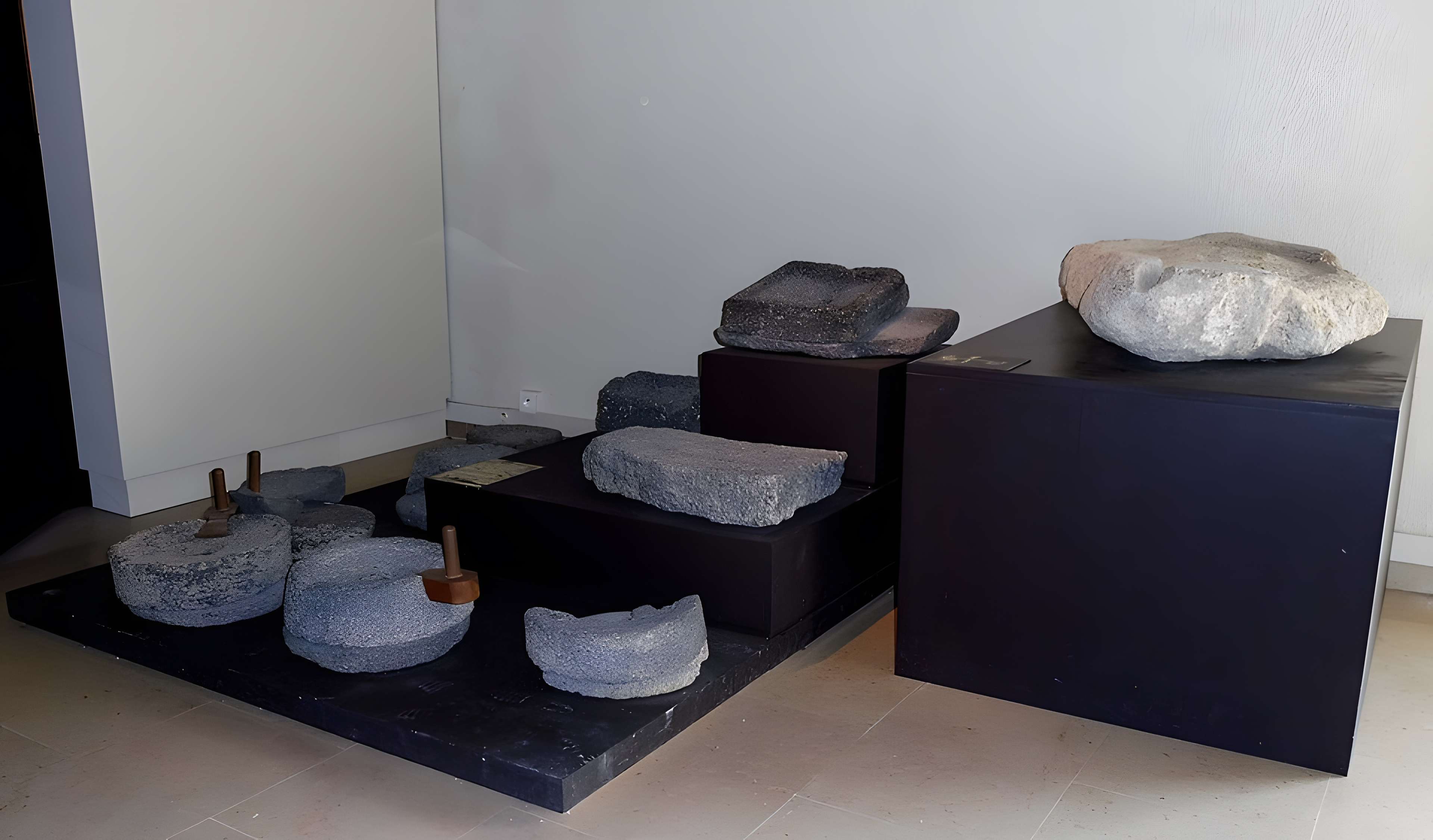 Musée Henri-Prades : Site archéologique Lattara