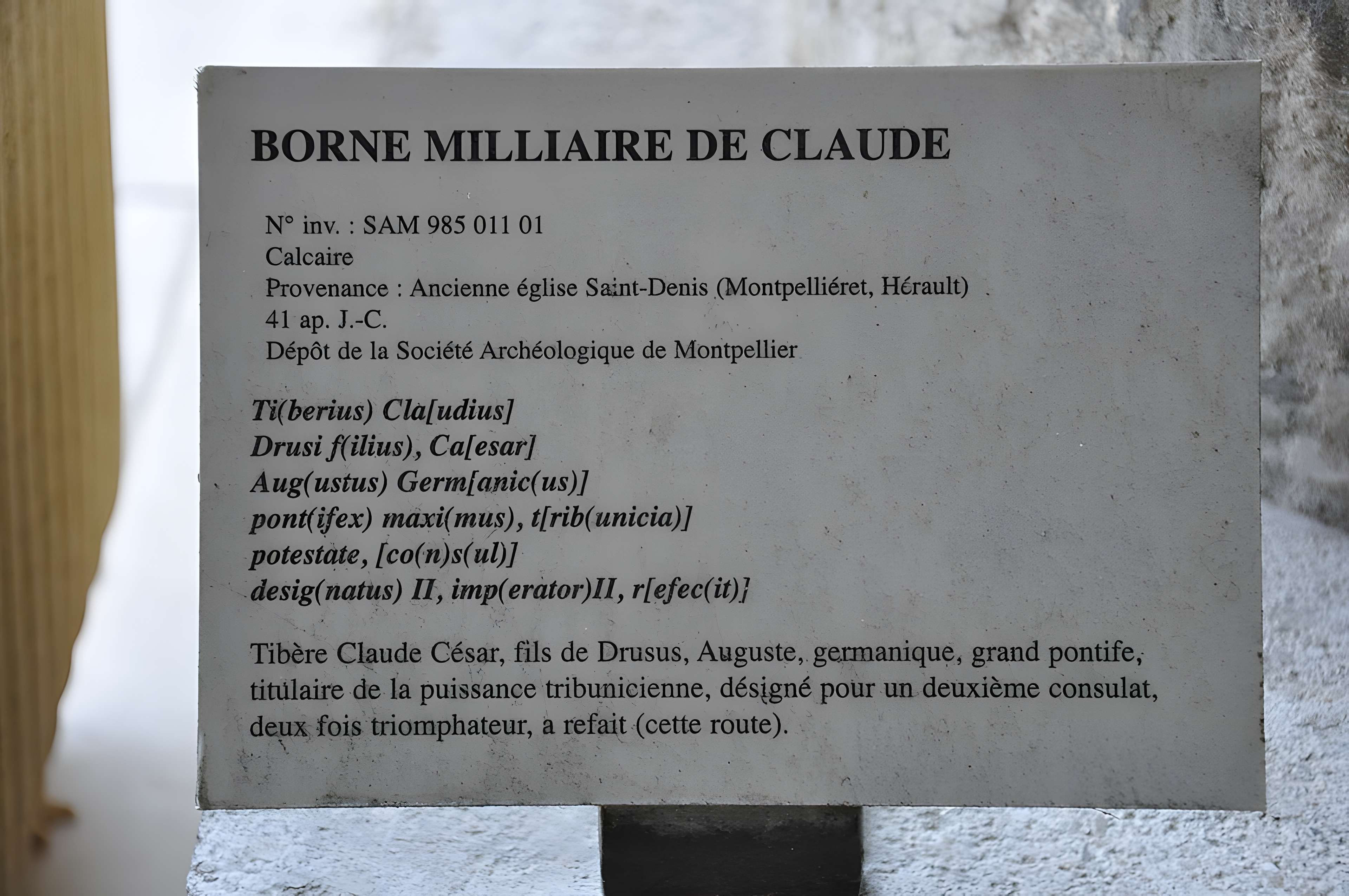 Musée Henri-Prades : Site archéologique Lattara