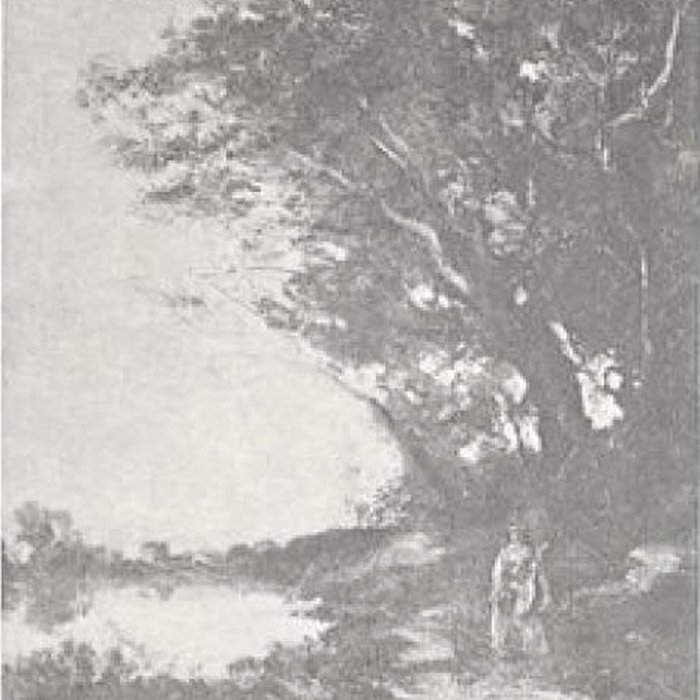 Photo de Musée des beaux-arts Hyacinthe Rigaud de Perpignan