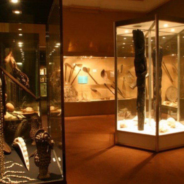 Photo de Museum dHistoire naturelle de Perpignan