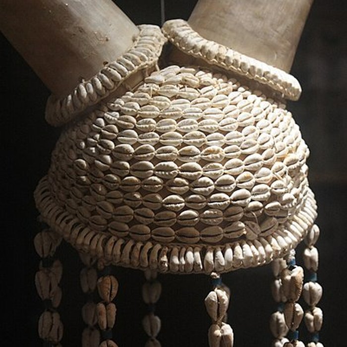 Photo de Museum dHistoire naturelle de Perpignan