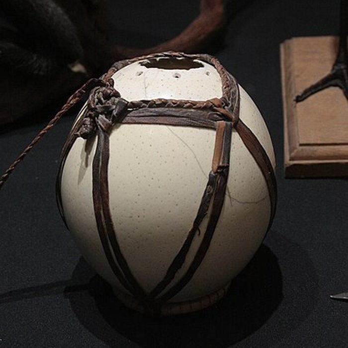 Photo de Museum dHistoire naturelle de Perpignan