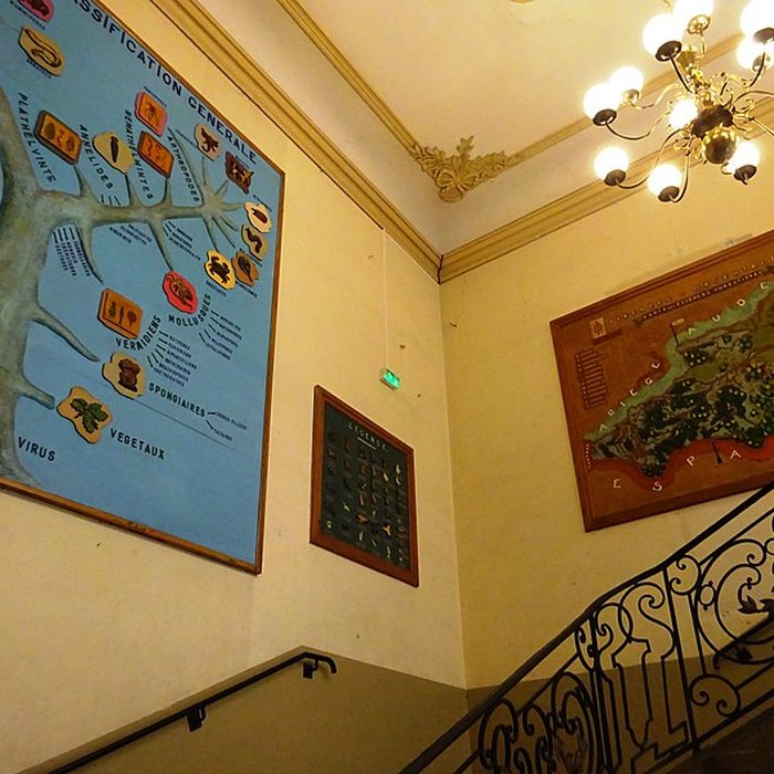 Photo de Museum dHistoire naturelle de Perpignan