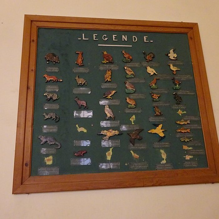 Photo de Museum dHistoire naturelle de Perpignan