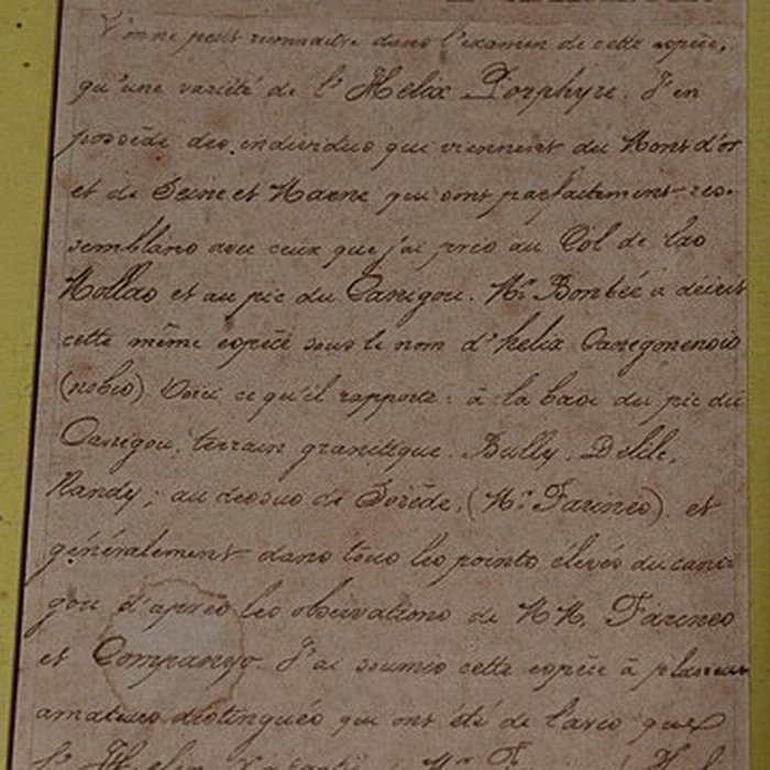 Photo de Museum dHistoire naturelle de Perpignan