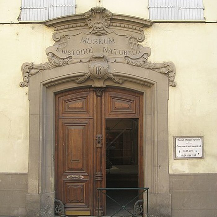 Photo de Museum dHistoire naturelle de Perpignan