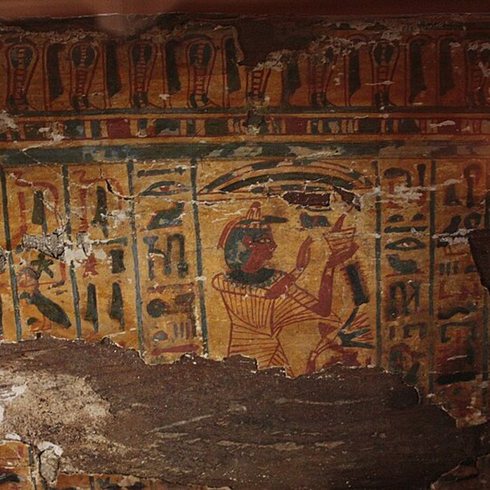 Photo de Museum dHistoire naturelle de Perpignan