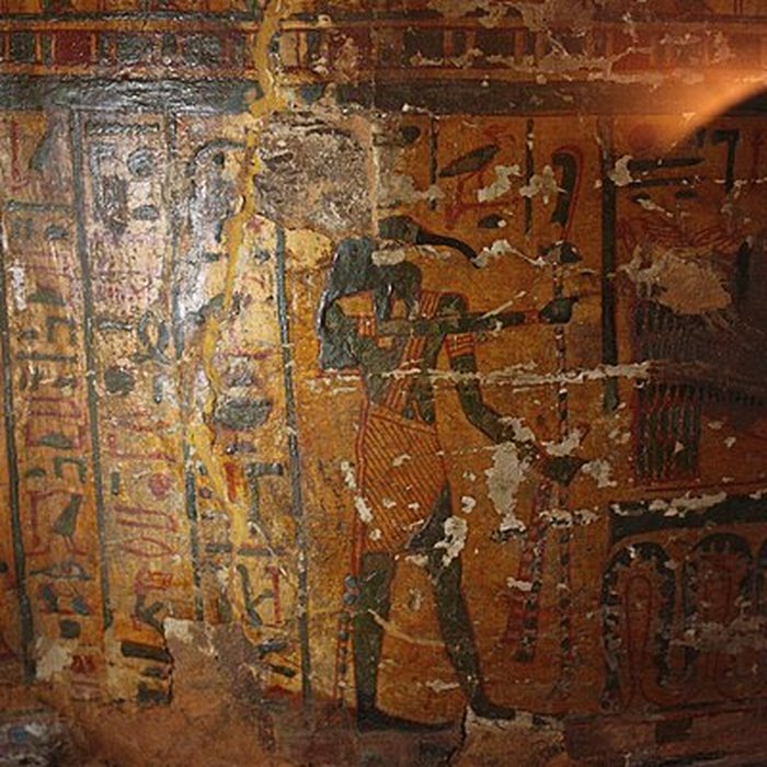 Photo de Museum dHistoire naturelle de Perpignan