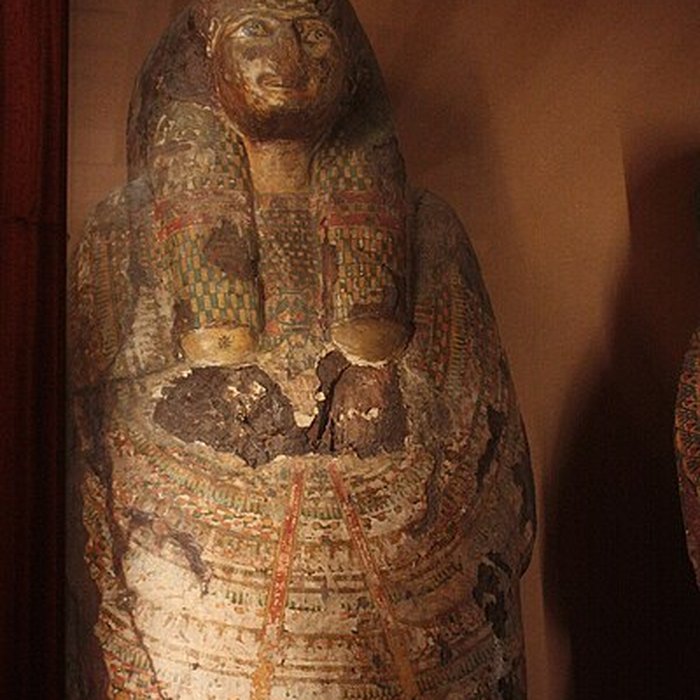 Photo de Museum dHistoire naturelle de Perpignan