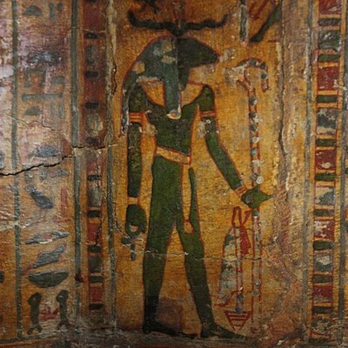 Photo de Museum dHistoire naturelle de Perpignan