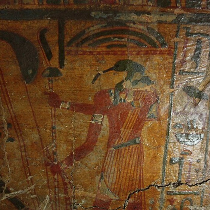 Photo de Museum dHistoire naturelle de Perpignan