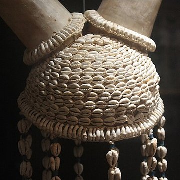 Museum dHistoire naturelle de Perpignan