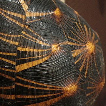 Museum dHistoire naturelle de Perpignan