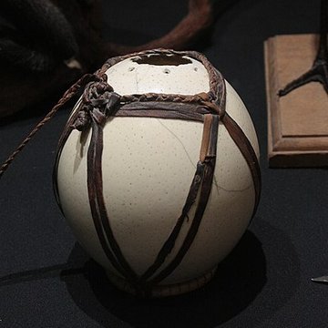 Museum dHistoire naturelle de Perpignan