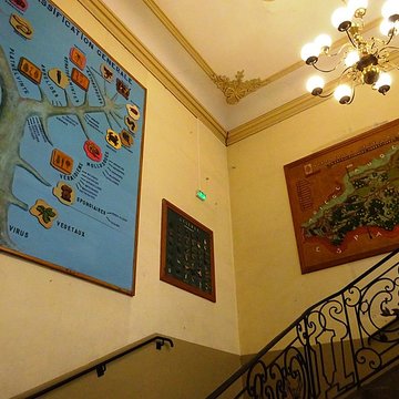 Museum dHistoire naturelle de Perpignan