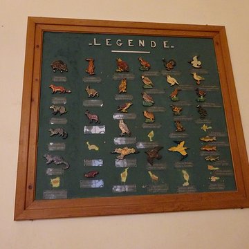 Museum dHistoire naturelle de Perpignan