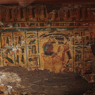 Museum dHistoire naturelle de Perpignan