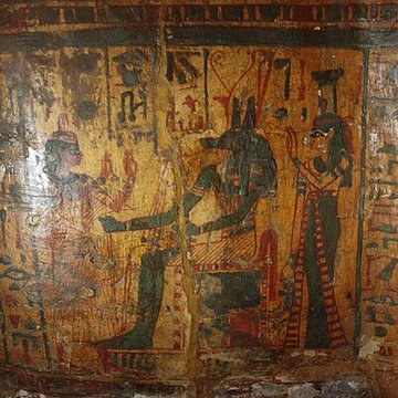 Museum dHistoire naturelle de Perpignan