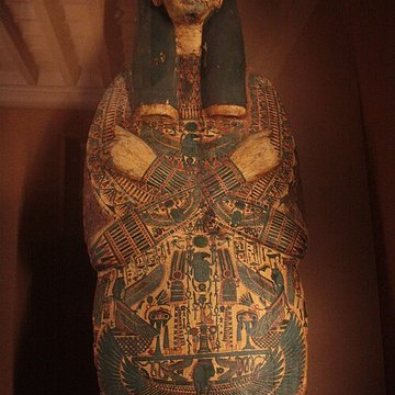 Museum dHistoire naturelle de Perpignan