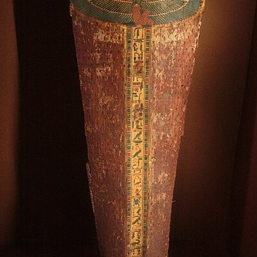 Museum dHistoire naturelle de Perpignan